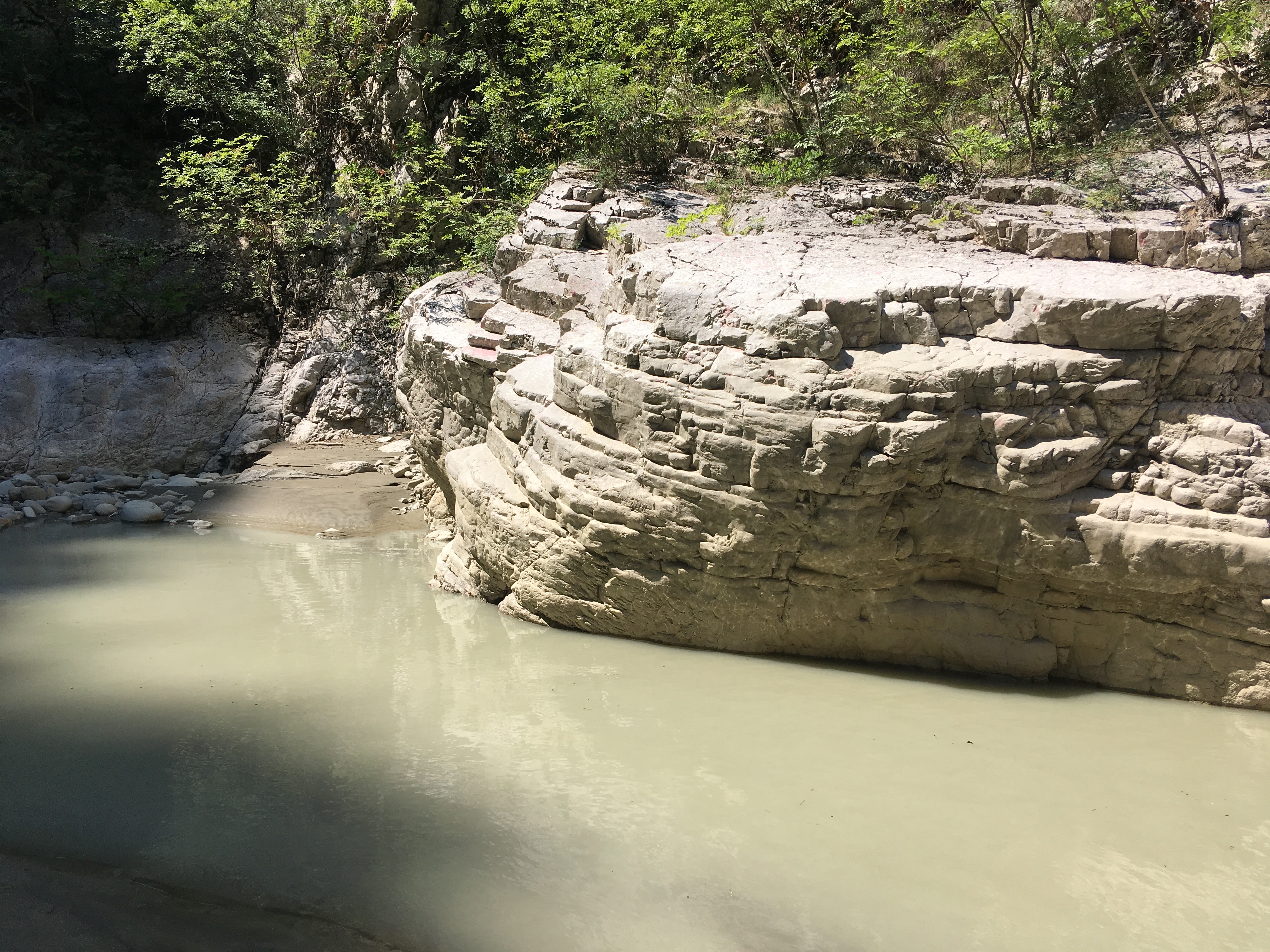 572E3CE5-28B4-4CA0-82F8-56A4032282F1