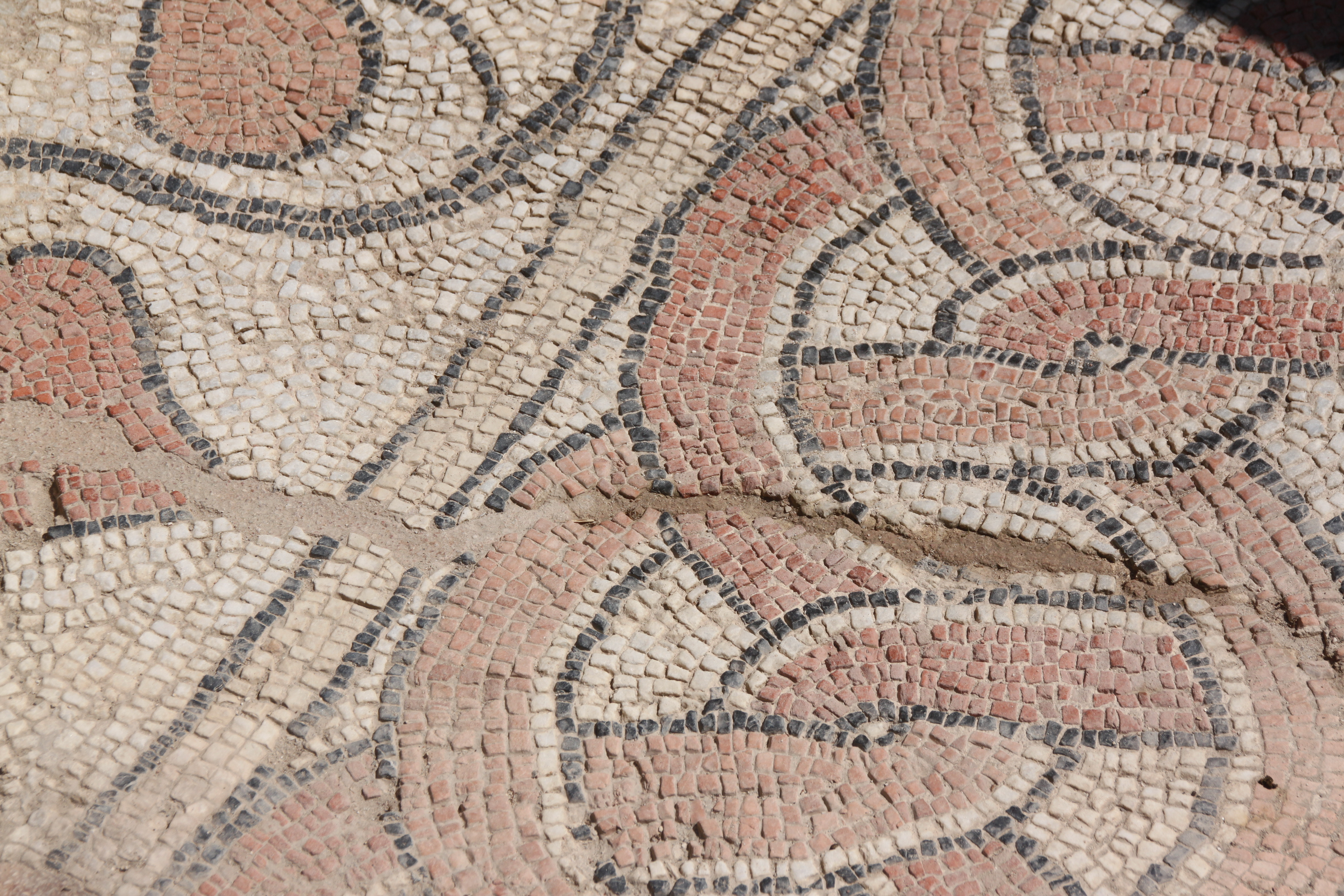 99AFCA9D-3C93-4ED9-9191-838EEDFDDAC7