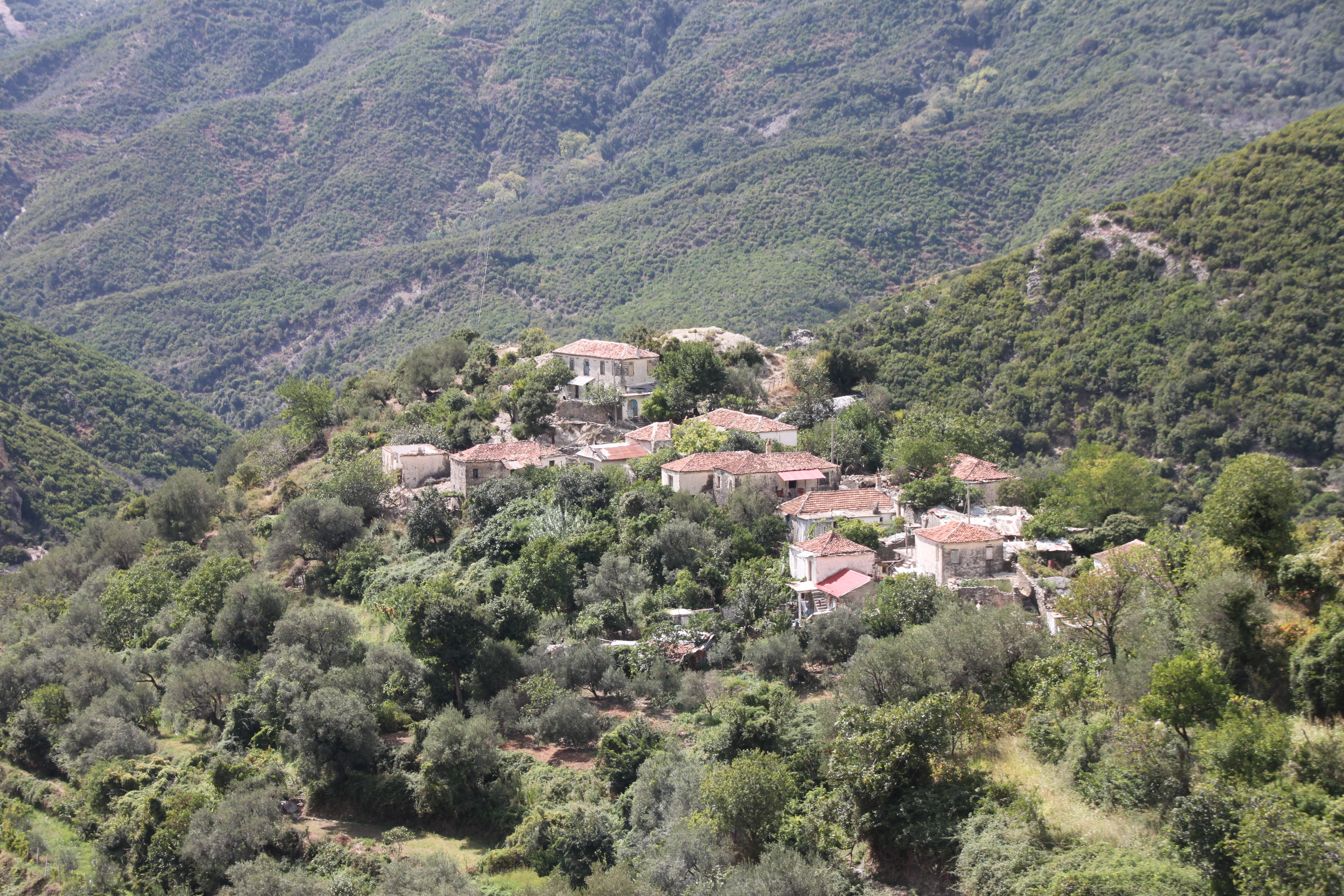 FB93591F-F171-4E8B-9A51-079B1CE0E68D