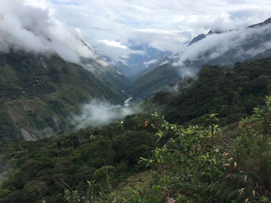 07DE690B-9305-40C7-9F2E-CCCB3173C680