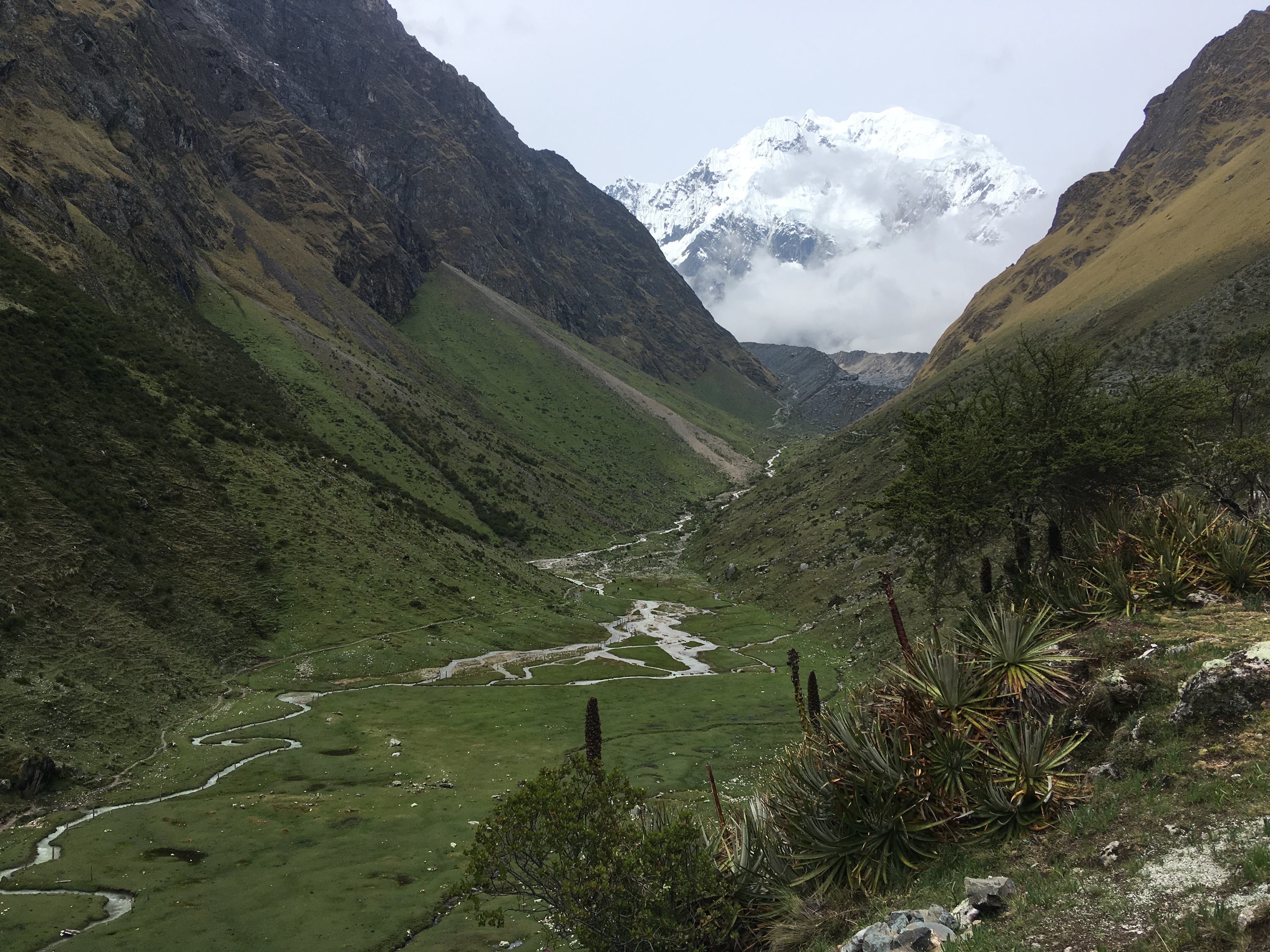 0DB51945-DAA7-4260-88D9-75D372A5CF60