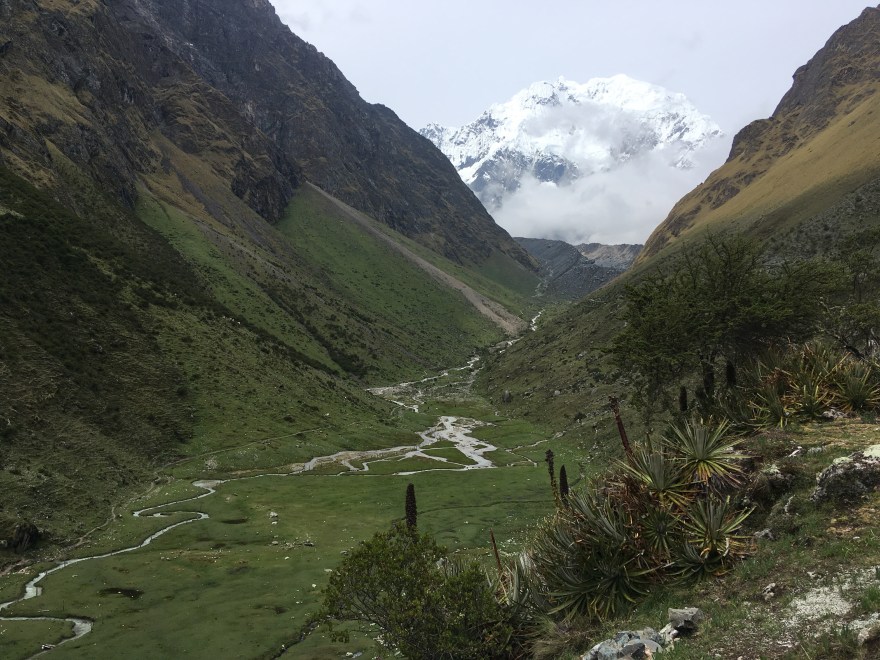 0DB51945-DAA7-4260-88D9-75D372A5CF60